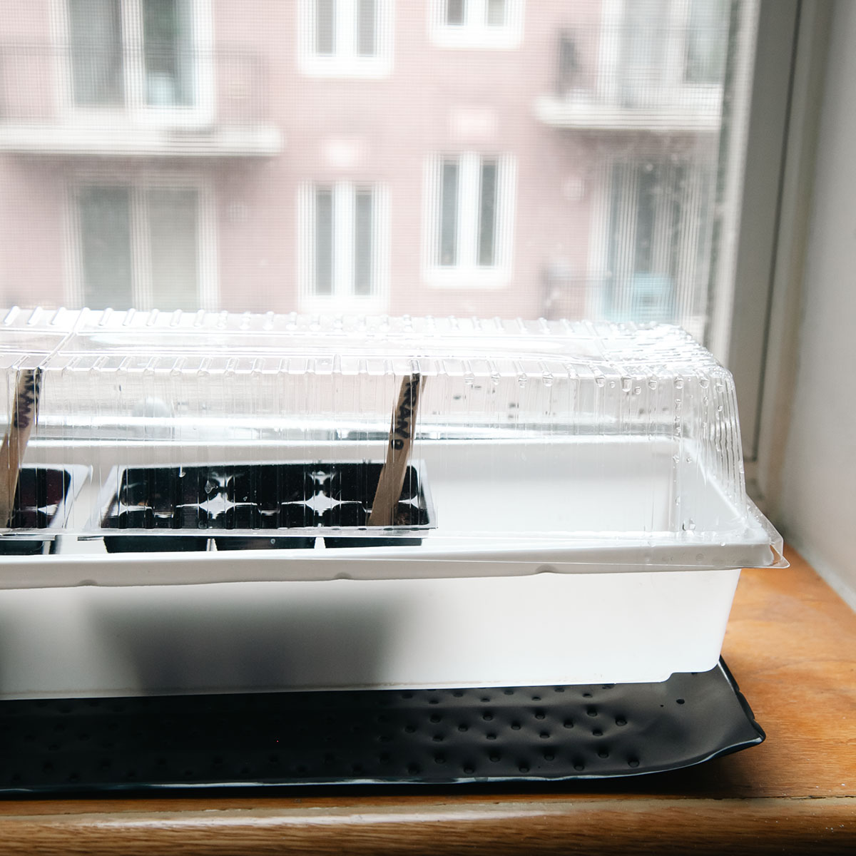 Early spring balcony garden prep using heating pads to help seedlings germinate